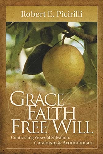 Grace, Faith, Free Will: Contrasting Views of Salvation by Robert E. Picirilli