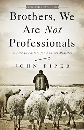 Brothers, We Are Not Professionals: A Plea to Pastors for Radical Ministry by John Piper
