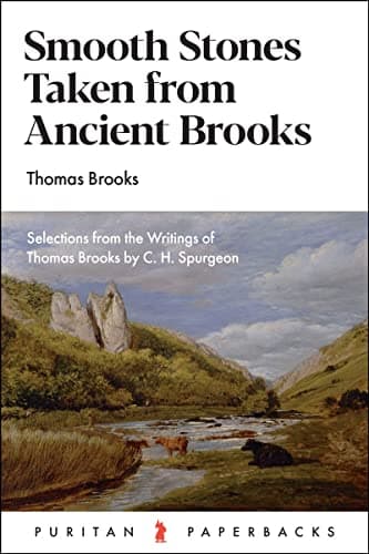 Smooth Stones Taken from Ancient Brooks by Thomas Brooks