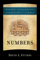 Numbers (Brazos Theological Commentary on the Bible)  by David L. Stubbs